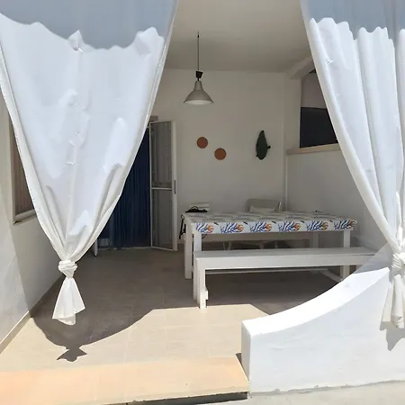 Fico D'india Villa San Pietro in Bevagna