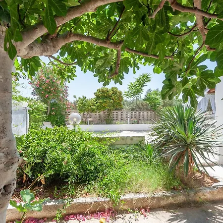 Fico D'india Villa San Pietro in Bevagna